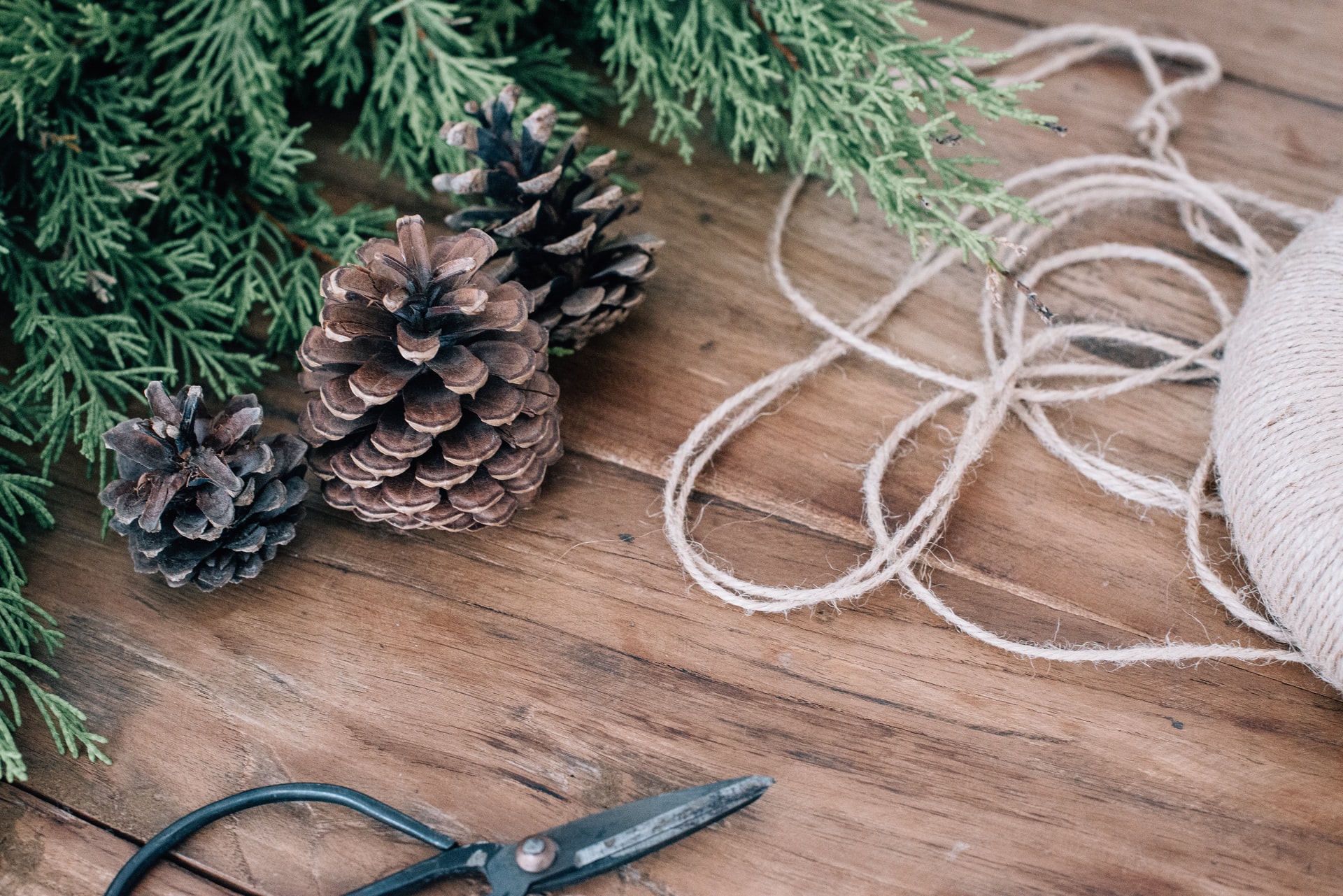 Blog Thumbnail of Unconventional Holiday Decor You Can DIY Today