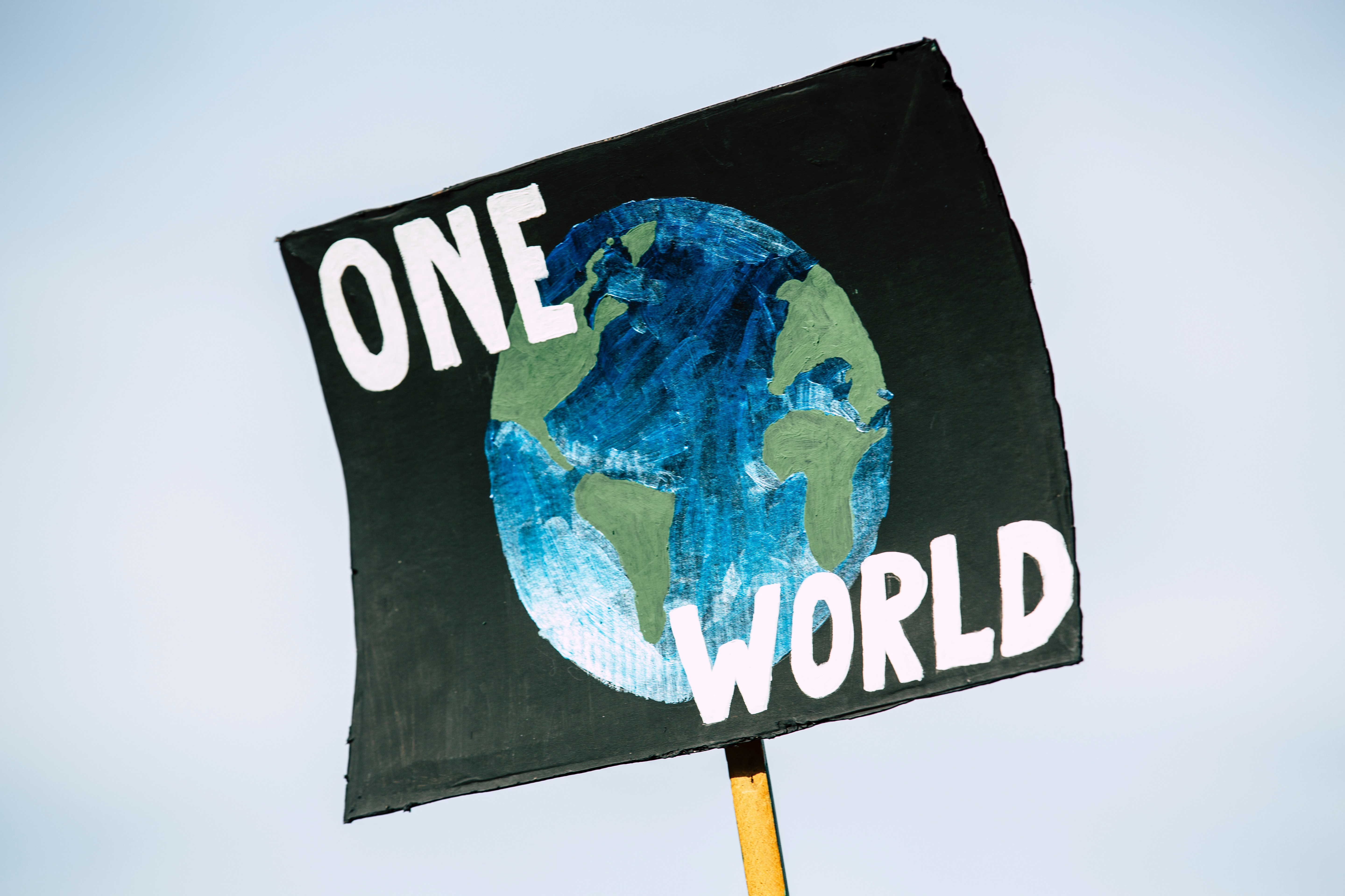 Blog Thumbnail of Ways to Celebrate Earth Day in Arlington